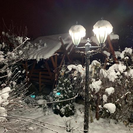 Міні Готель Вілла Вікторія ベレホヴェ エクステリア 写真