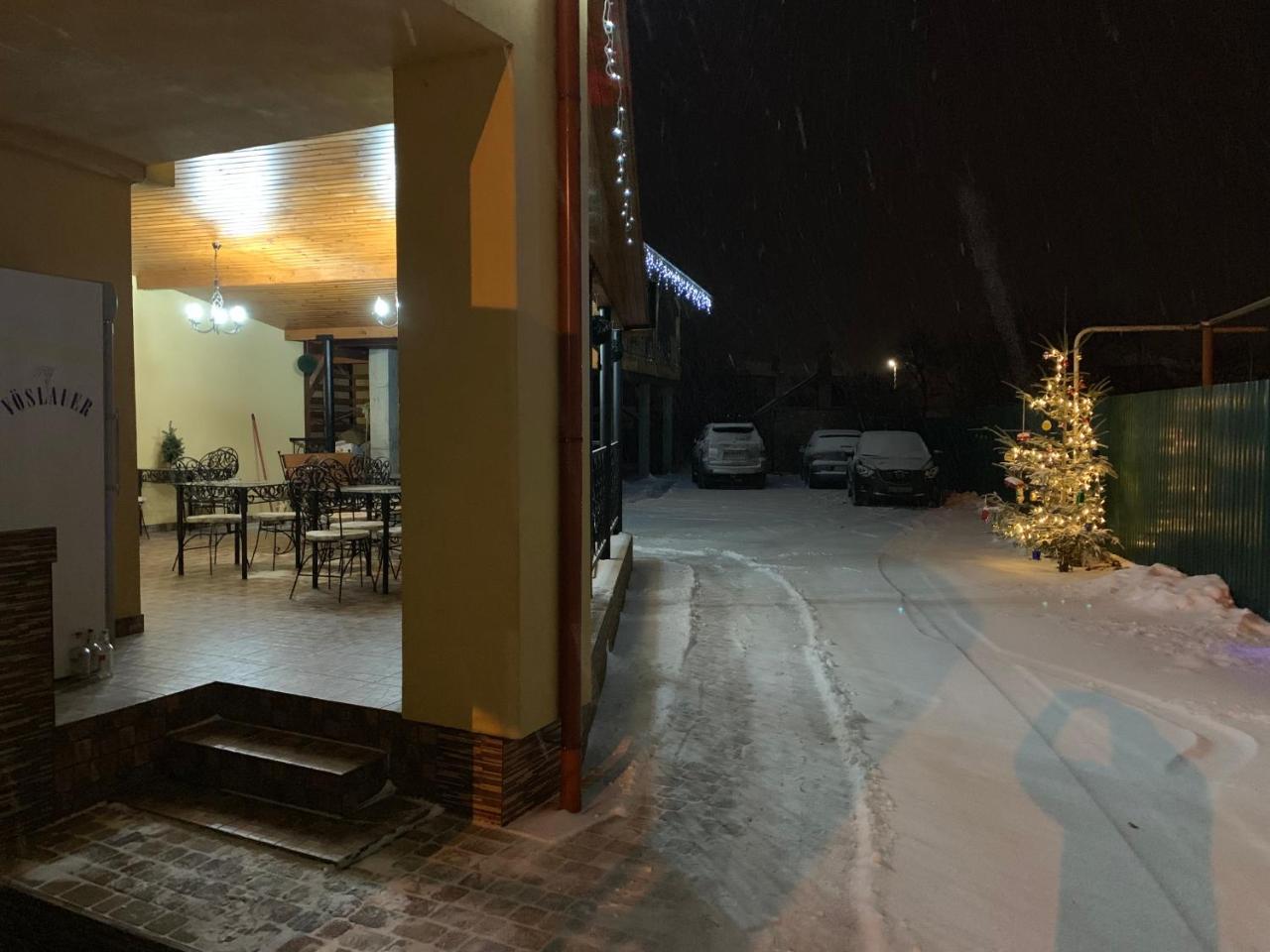 Міні Готель Вілла Вікторія ベレホヴェ エクステリア 写真